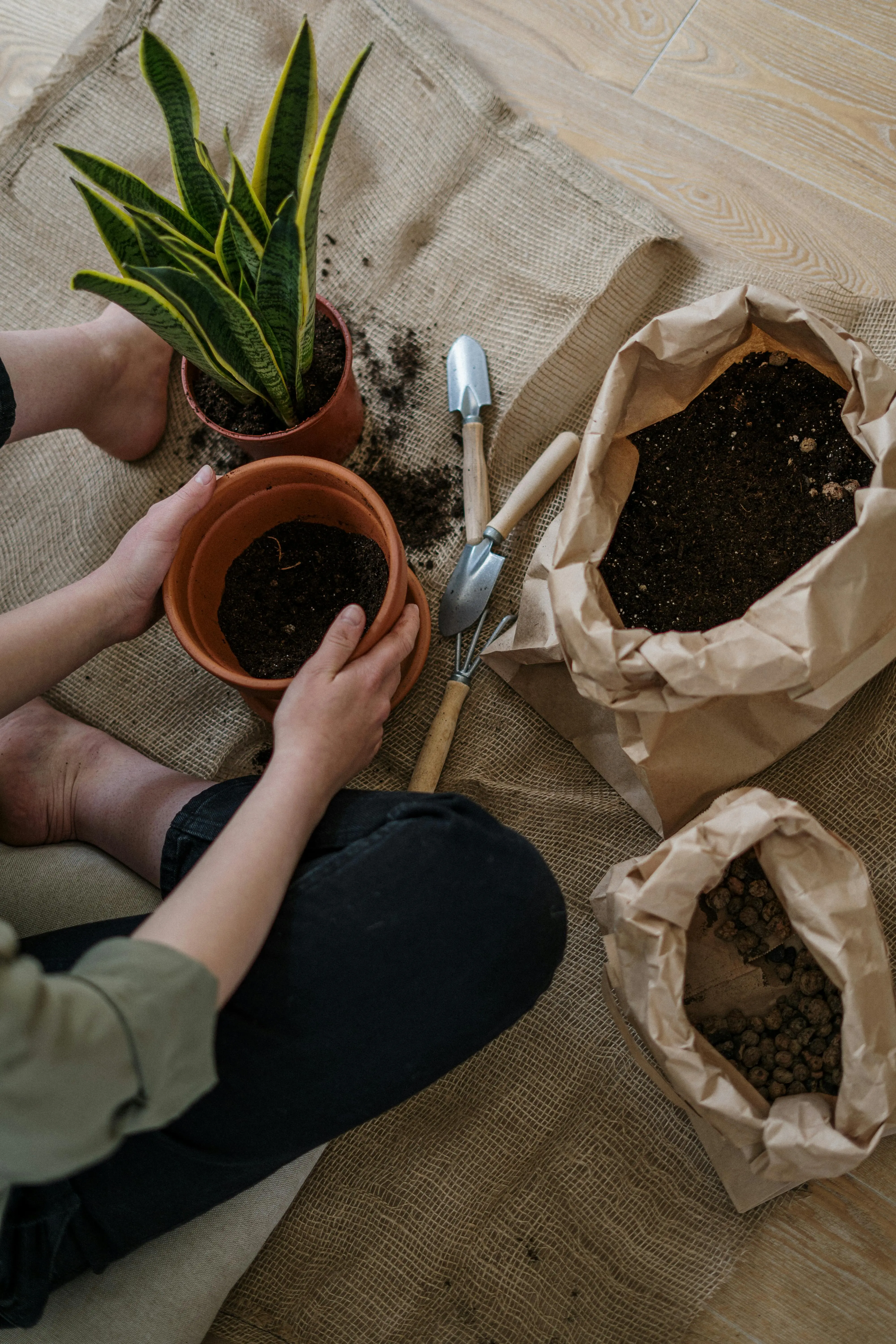 Grow Bags