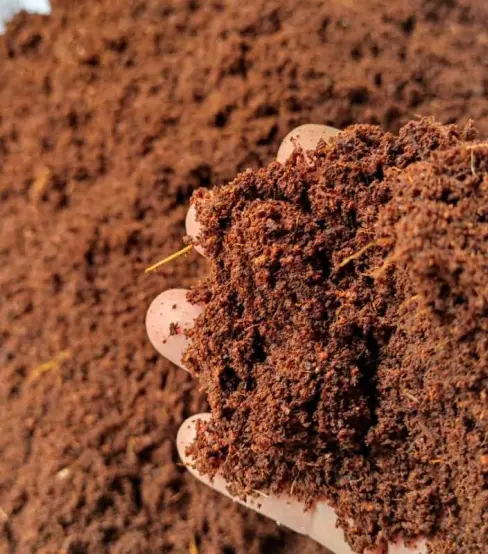 Loose Coco Peat